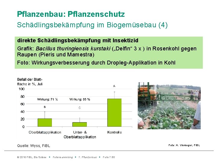 Pflanzenbau: Pflanzenschutz Schädlingsbekämpfung im Biogemüsebau (4) direkte Schädlingsbekämpfung mit Insektizid Grafik: Bacillus thuringiensis kurstaki