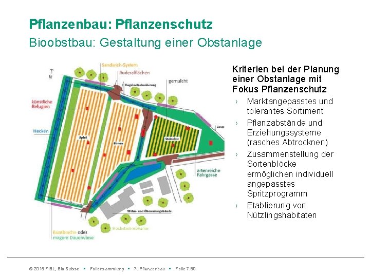 Pflanzenbau: Pflanzenschutz Bioobstbau: Gestaltung einer Obstanlage Kriterien bei der Planung einer Obstanlage mit Fokus