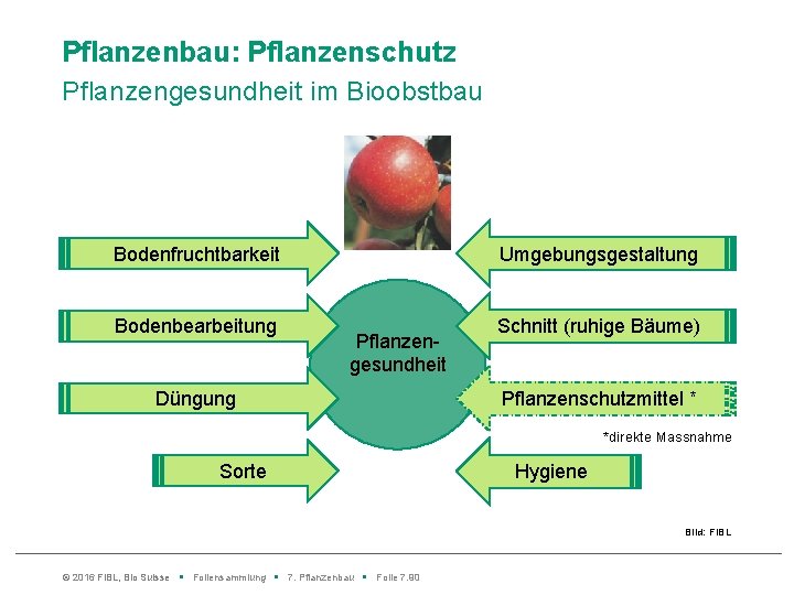 Pflanzenbau: Pflanzenschutz Pflanzengesundheit im Bioobstbau Bodenfruchtbarkeit Bodenbearbeitung Umgebungsgestaltung Pflanzengesundheit Düngung Schnitt (ruhige Bäume) Pflanzenschutzmittel