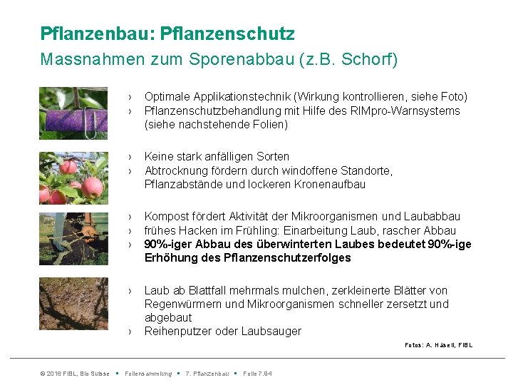 Pflanzenbau: Pflanzenschutz Massnahmen zum Sporenabbau (z. B. Schorf) › › Optimale Applikationstechnik (Wirkung kontrollieren,