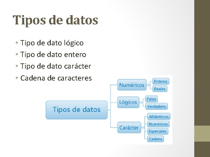 Tipos de datos • Tipo de dato lógico • Tipo de dato entero •