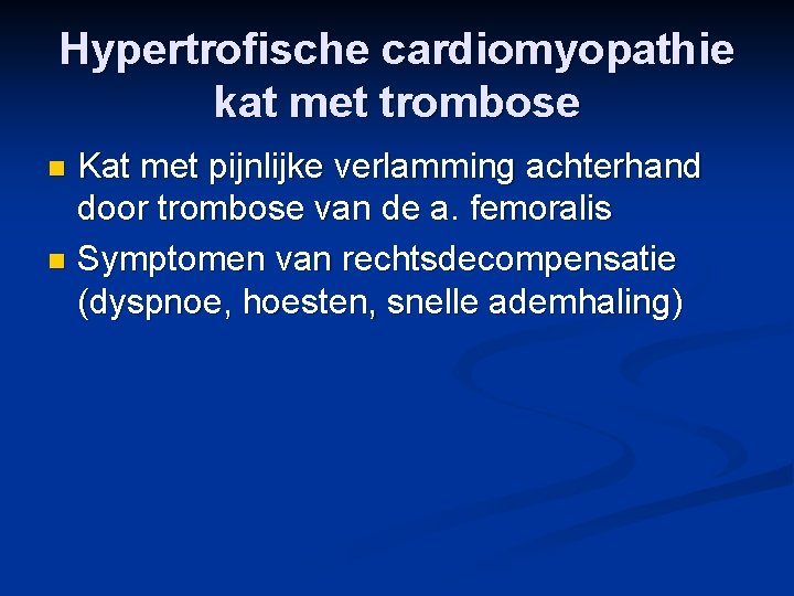 Hypertrofische cardiomyopathie kat met trombose Kat met pijnlijke verlamming achterhand door trombose van de