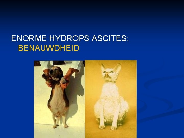 ENORME HYDROPS ASCITES: BENAUWDHEID 