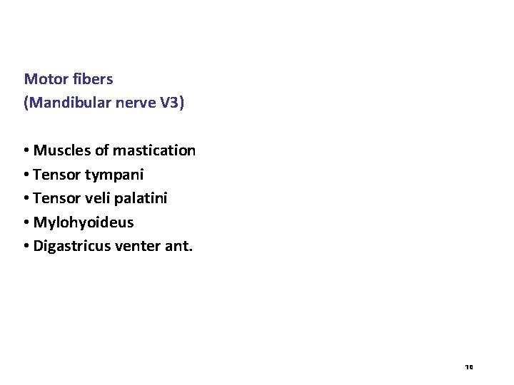 Motor fibers (Mandibular nerve V 3) • Muscles of mastication • Tensor tympani •