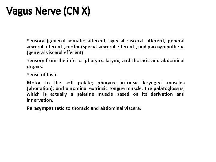 Vagus Nerve (CN X) Sensory (general somatic afferent, special visceral afferent, general visceral afferent),