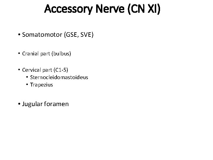 Accessory Nerve (CN XI) • Somatomotor (GSE, SVE) • Cranial part (bulbus) • Cervical