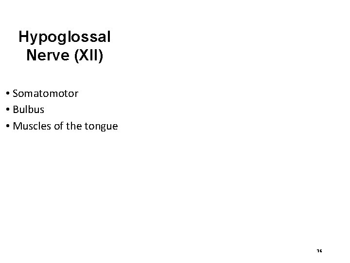 Hypoglossal Nerve (XII) • Somatomotor • Bulbus • Muscles of the tongue 16 