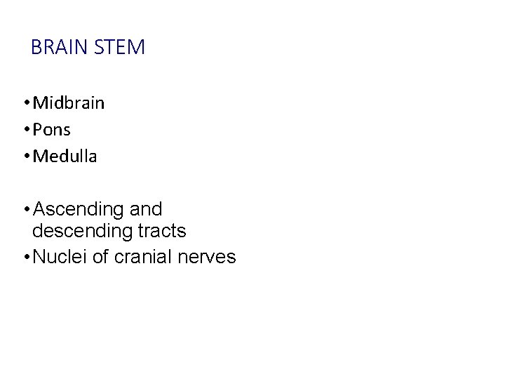 BRAIN STEM • Midbrain • Pons • Medulla • Ascending and descending tracts •