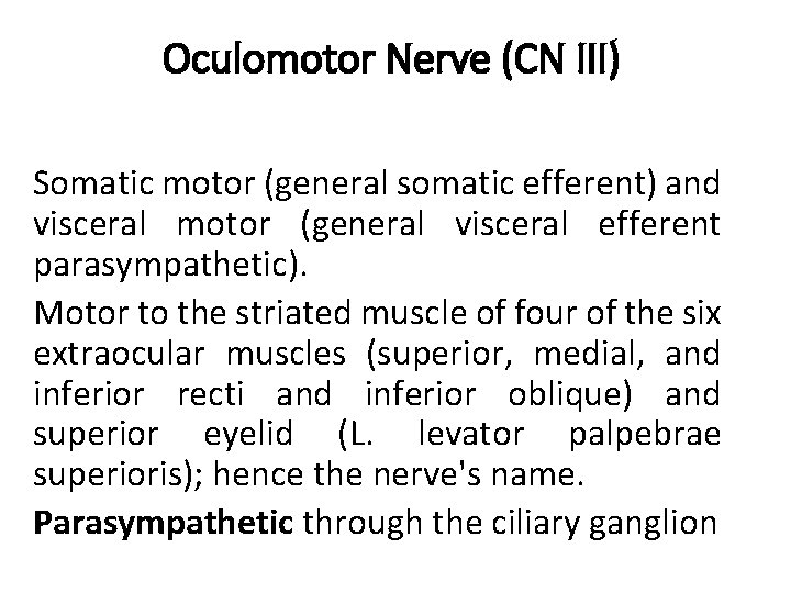 Oculomotor Nerve (CN III) Somatic motor (general somatic efferent) and visceral motor (general visceral