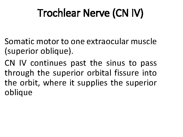 Trochlear Nerve (CN IV) Somatic motor to one extraocular muscle (superior oblique). CN IV