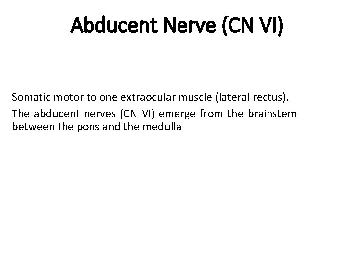 Abducent Nerve (CN VI) Somatic motor to one extraocular muscle (lateral rectus). The abducent