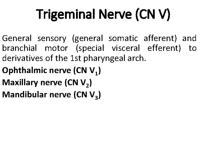 Trigeminal Nerve (CN V) General sensory (general somatic afferent) and branchial motor (special visceral