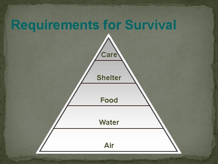 Requirements for Survival Care Shelter Food Water Air 