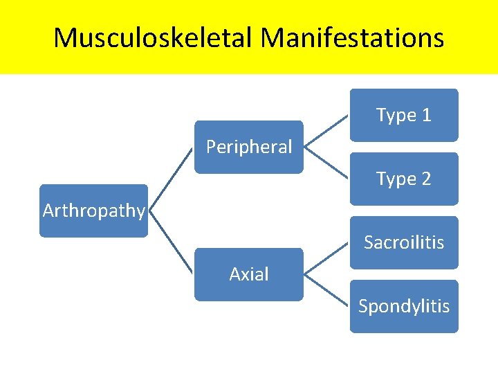 Musculoskeletal Manifestations Type 1 Peripheral Type 2 Arthropathy Sacroilitis Axial Spondylitis 