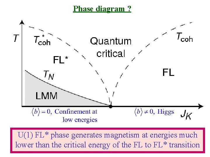 Phase diagram ? U(1) FL* phase generates magnetism at energies much lower than the