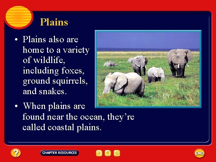 Plains • Plains also are home to a variety of wildlife, including foxes, ground