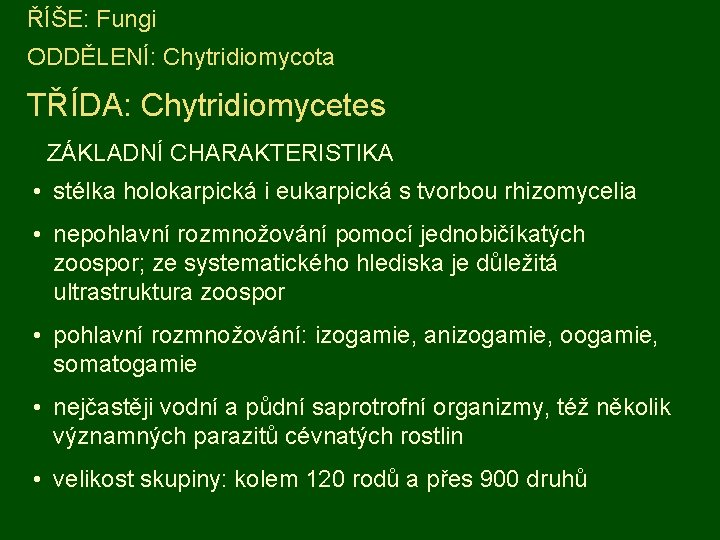 ŘÍŠE: Fungi ODDĚLENÍ: Chytridiomycota TŘÍDA: Chytridiomycetes ZÁKLADNÍ CHARAKTERISTIKA • stélka holokarpická i eukarpická s