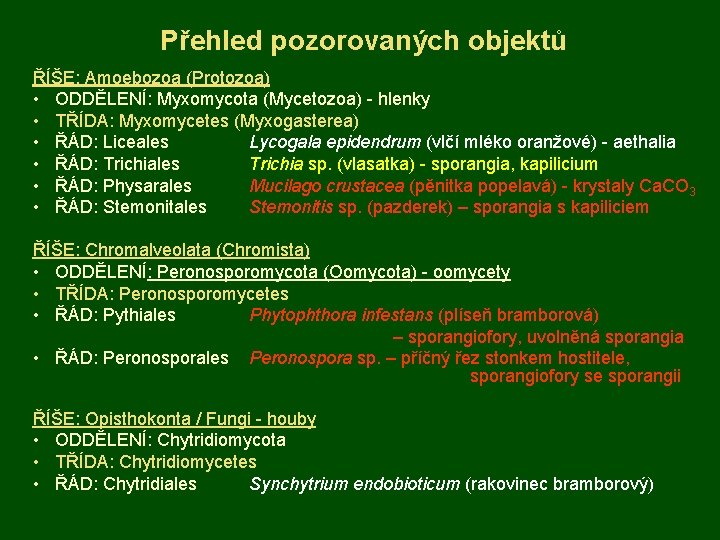 Přehled pozorovaných objektů ŘÍŠE: Amoebozoa (Protozoa) • ODDĚLENÍ: Myxomycota (Mycetozoa) - hlenky • TŘÍDA: