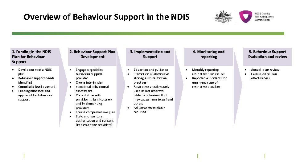 Overview of Behaviour Support in the NDIS 