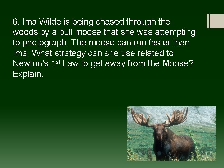 6. Ima Wilde is being chased through the woods by a bull moose that