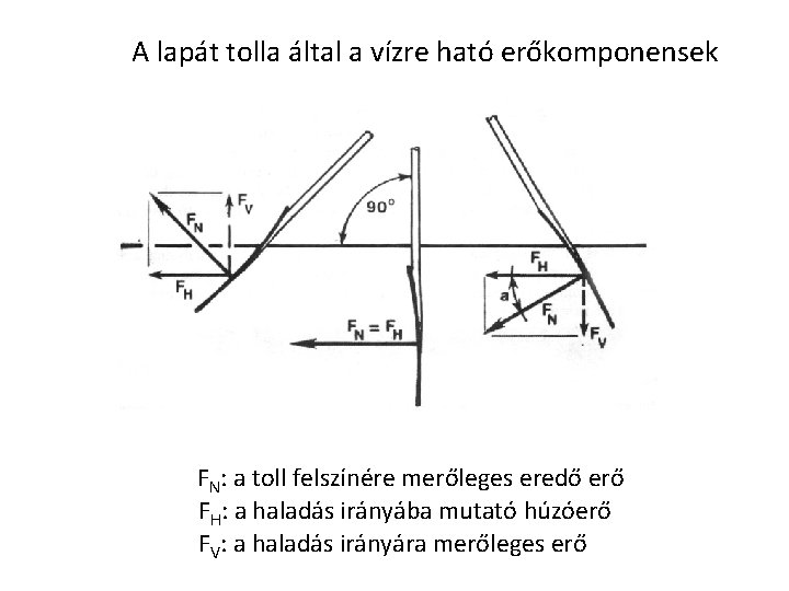 A lapát tolla által a vízre ható erőkomponensek FN: a toll felszínére merőleges eredő