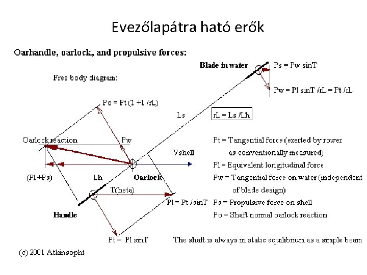 Evezőlapátra ható erők 