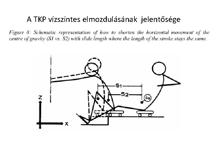 A TKP vízszintes elmozdulásának jelentősége 