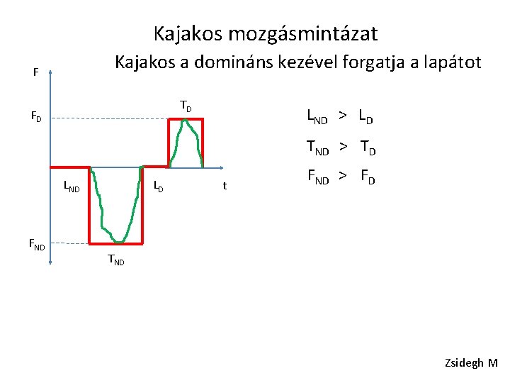 Kajakos mozgásmintázat Kajakos a domináns kezével forgatja a lapátot F TD FD LND >