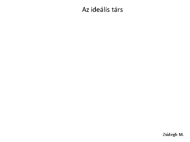 Az ideális társ Zsidegh M. 