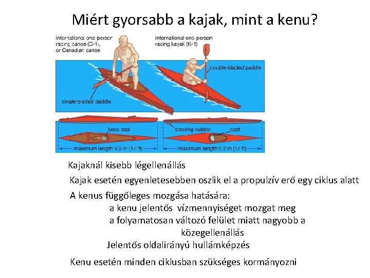 Miért gyorsabb a kajak, mint a kenu? Kajaknál kisebb légellenállás Kajak esetén egyenletesebben oszlik