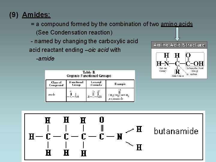 (9) Amides: = a compound formed by the combination of two amino acids (See