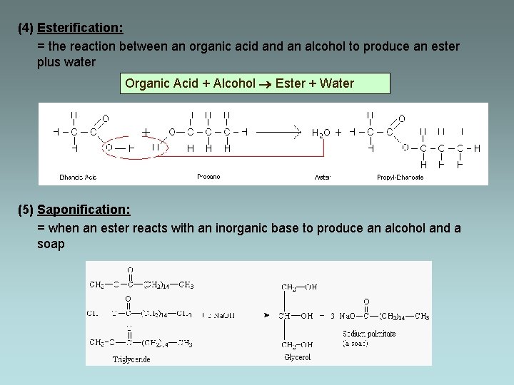 (4) Esterification: = the reaction between an organic acid an alcohol to produce an