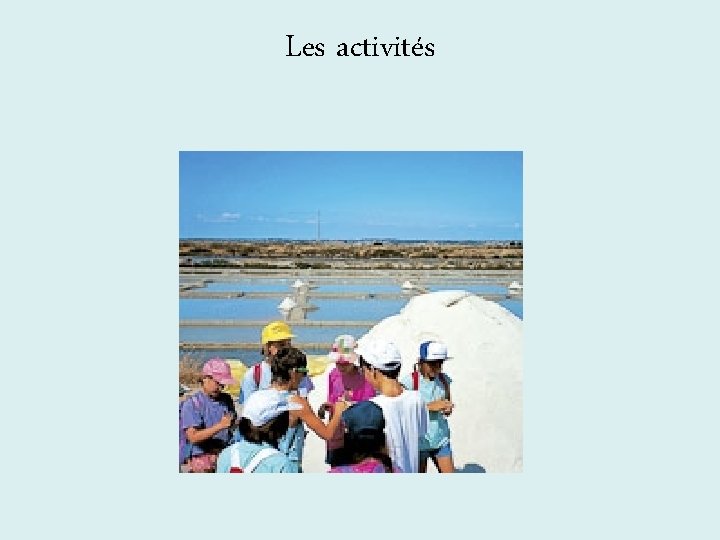 Les activités 