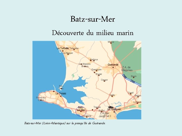 Batz-sur-Mer Découverte du milieu marin Batz-sur-Mer (Loire-Atlantique) sur la presqu’île de Guérande. 
