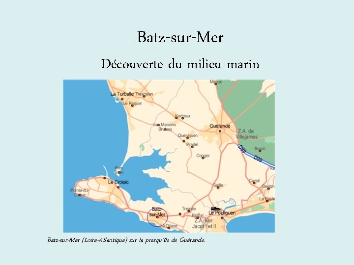 Batz-sur-Mer Découverte du milieu marin Batz-sur-Mer (Loire-Atlantique) sur la presqu’île de Guérande. Batz-sur-Mer Découverte du milieu marin Batz-sur-Mer (Loire-Atlantique) sur la presqu’île de Guérande.