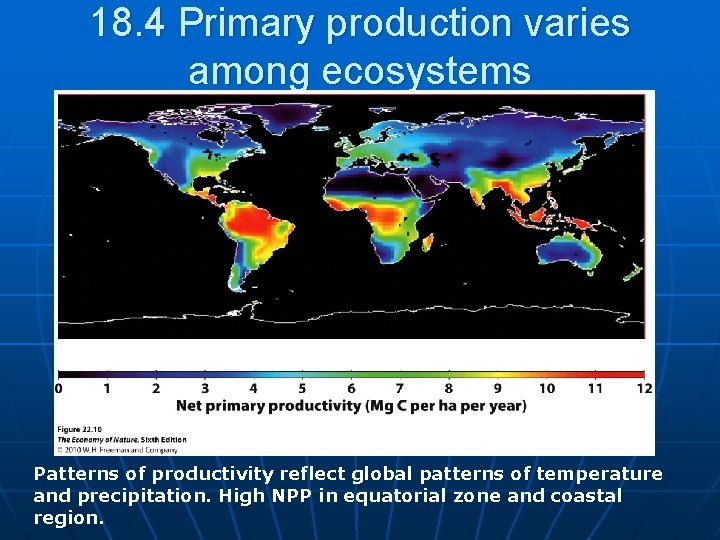 18. 4 Primary production varies among ecosystems Patterns of productivity reflect global patterns of