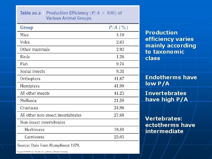 Production efficiency varies mainly according to taxonomic class Endotherms have low P/A Invertebrates have