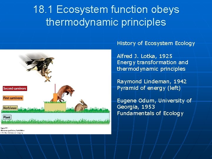 18. 1 Ecosystem function obeys thermodynamic principles History of Ecosystem Ecology Alfred J. Lotka,