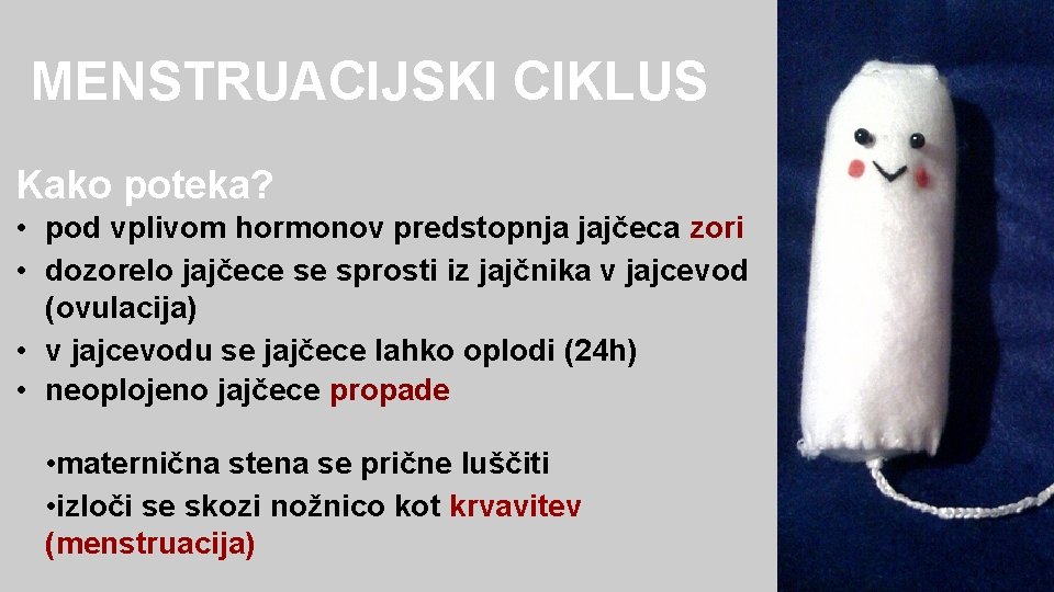 MENSTRUACIJSKI CIKLUS Kako poteka? • pod vplivom hormonov predstopnja jajčeca zori • dozorelo jajčece