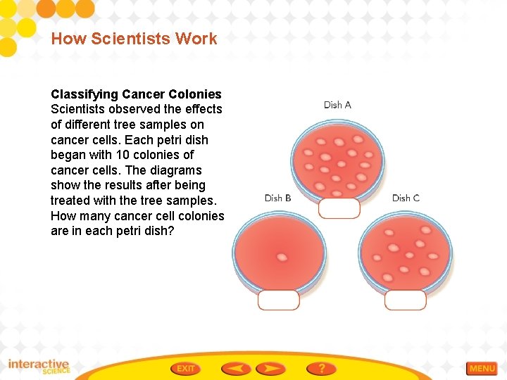How Scientists Work Classifying Cancer Colonies Scientists observed the effects of different tree samples