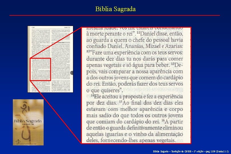 Bíblia Sagrada – Tradução da CNBB – 5° edição – pag 1109 (Daniel 1