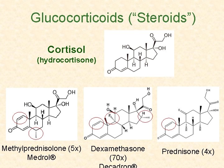 Glucocorticoids (“Steroids”) Cortisol (hydrocortisone) Methylprednisolone (5 x) Medrol® Dexamethasone (70 x) Prednisone (4 x)