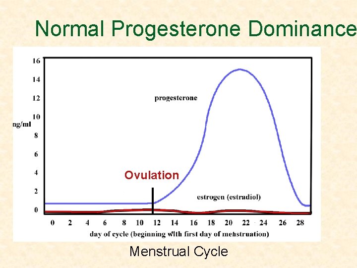 Normal Progesterone Dominance Ovulation Menstrual Cycle 
