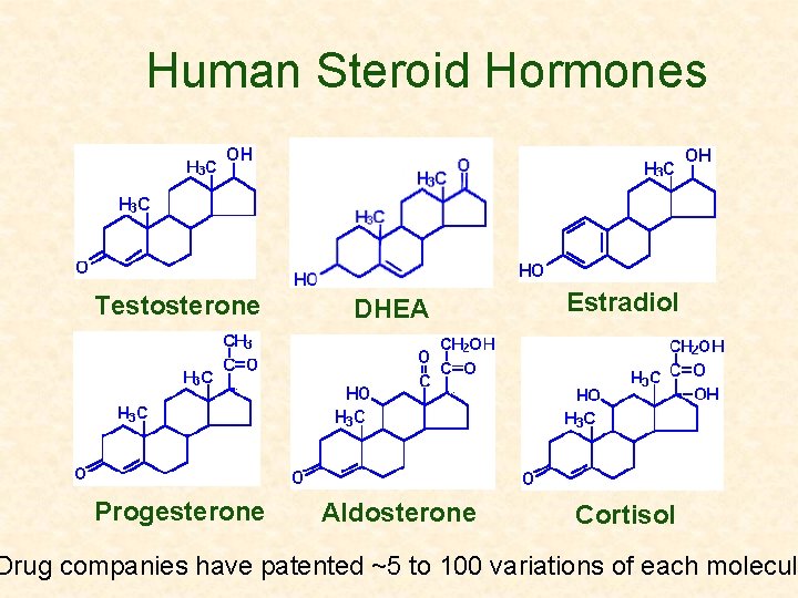 Human Steroid Hormones Testosterone DHEA Estradiol Progesterone Aldosterone Cortisol Drug companies have patented ~5