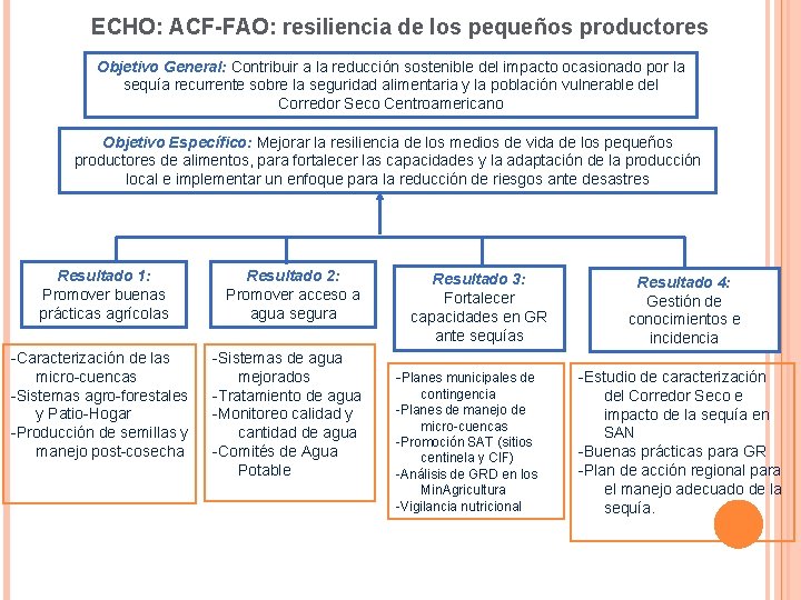 ECHO: ACF-FAO: resiliencia de los pequeños productores Objetivo General: Contribuir a la reducción sostenible