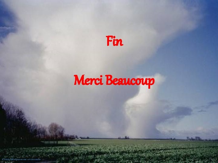 Fin Merci Beaucoup © Harald Edens, reproduced with permission 