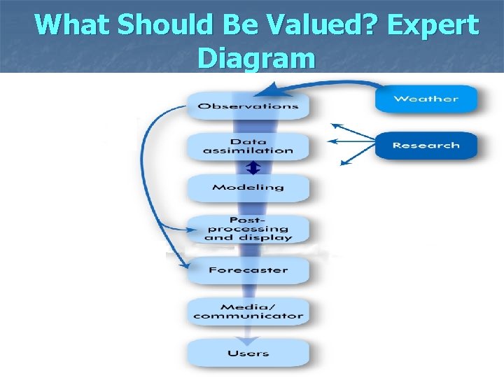 What Should Be Valued? Expert Diagram 