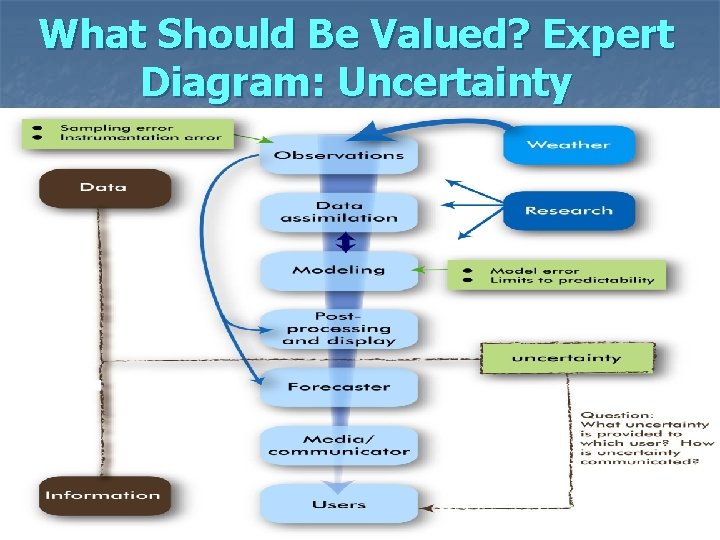 What Should Be Valued? Expert Diagram: Uncertainty 