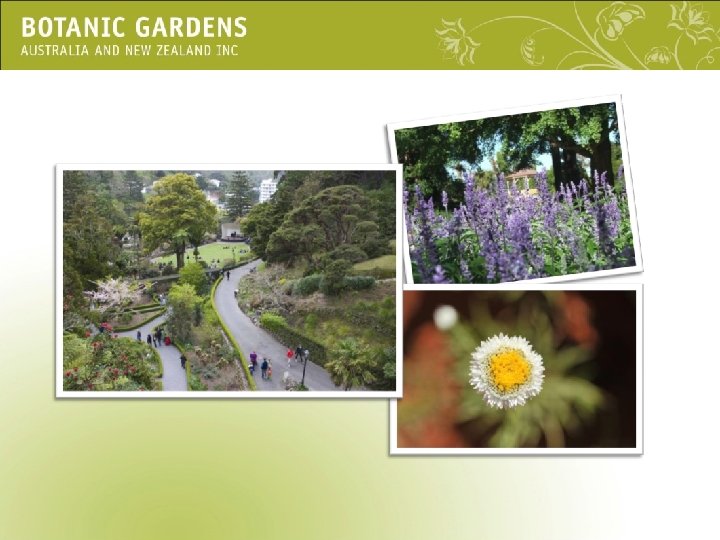The value of botanic gardens CONNECTING CONSERVING CONTRIBUTING