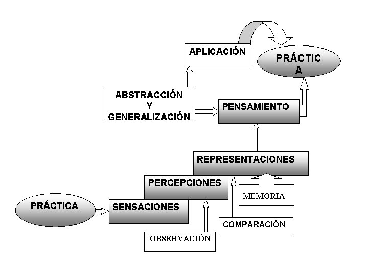 APLICACIÓN ABSTRACCIÓN Y GENERALIZACIÓN PRÁCTIC A PENSAMIENTO REPRESENTACIONES PERCEPCIONES MEMORIA PRÁCTICA SENSACIONES COMPARACIÓN OBSERVACIÓN